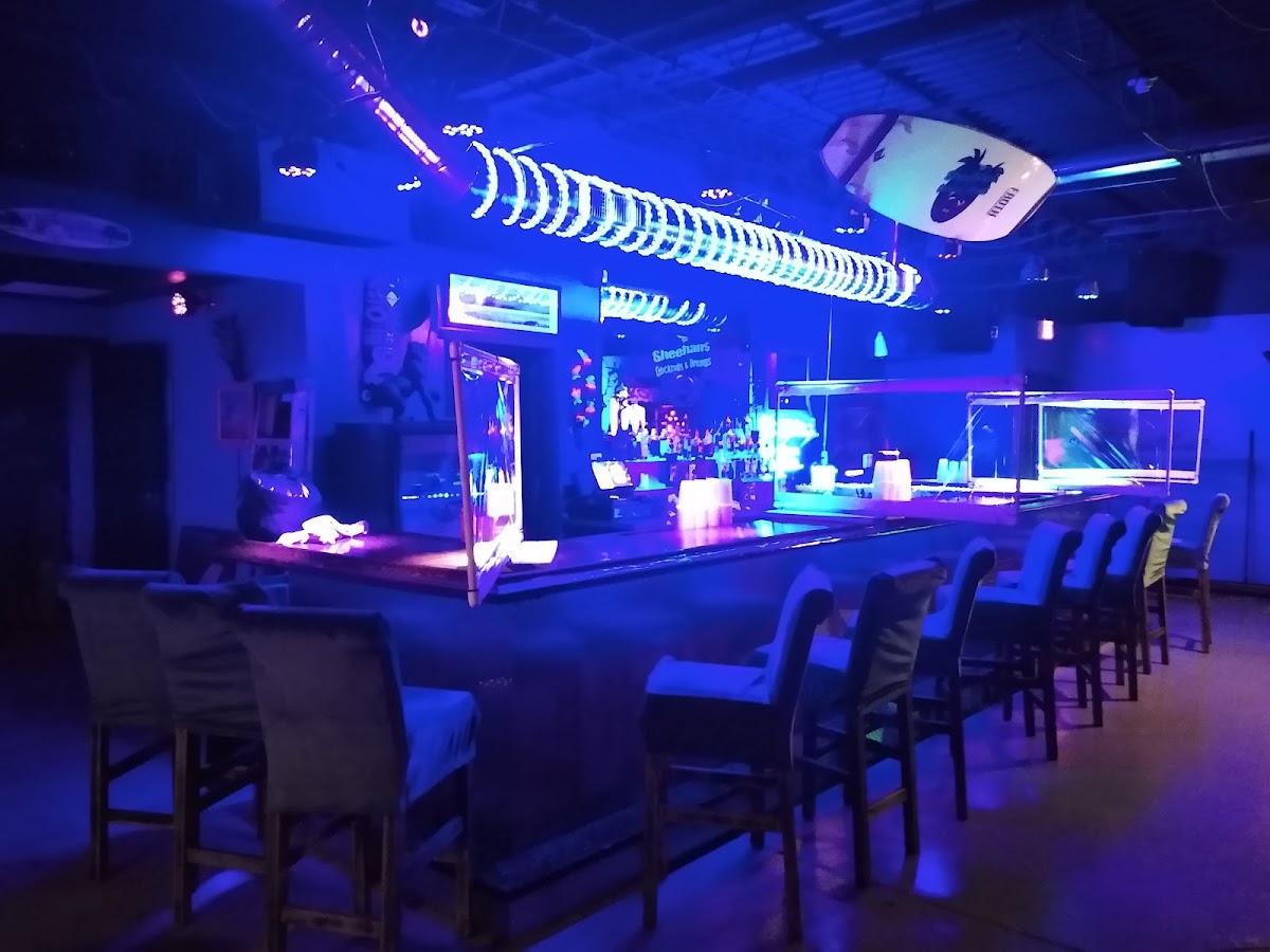 Buffalo Grill N Ale House